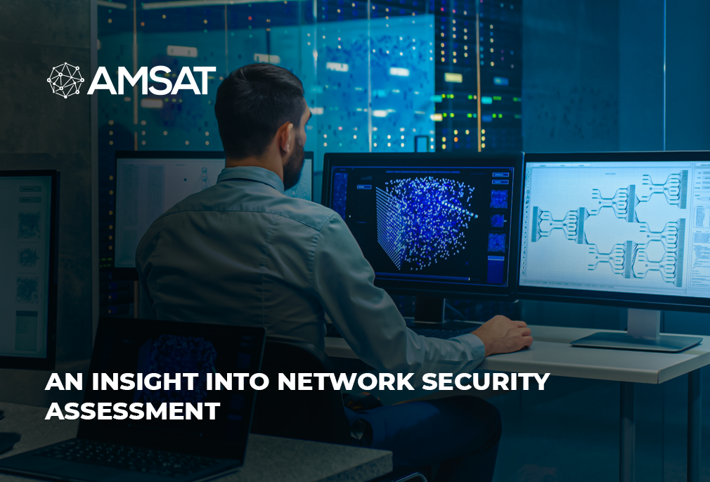 insights of network security assessment
