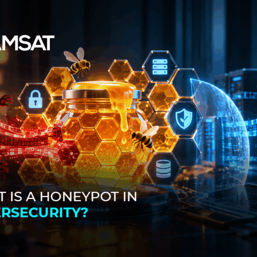 What Is a Honeypot in Cybersecurity?
